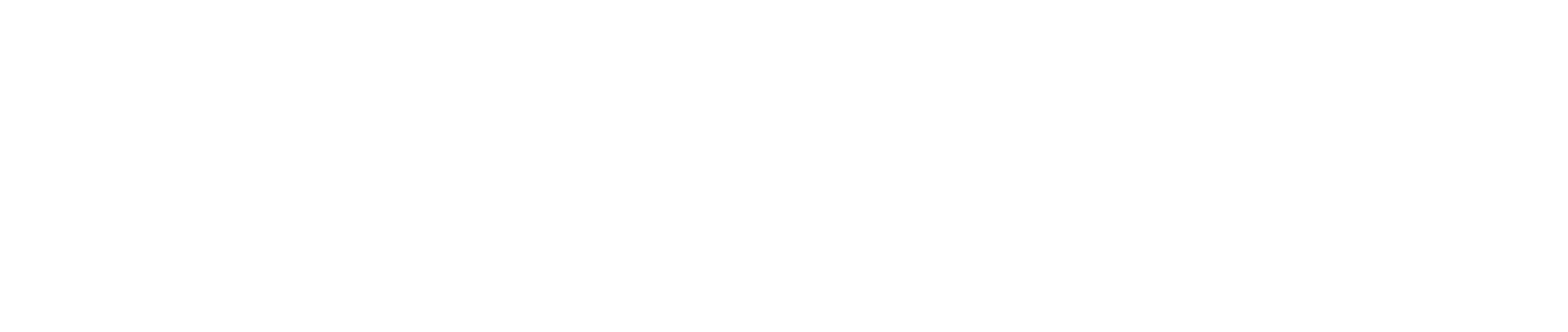 Logo partnera Stellantis